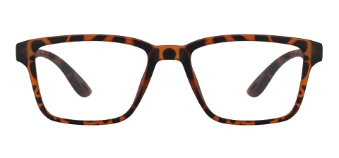 VPR347 (Tortoise)