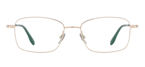 VPT087 (Gold)
